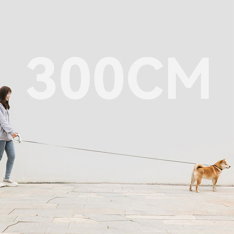 Guias Luminosas para Cachorros