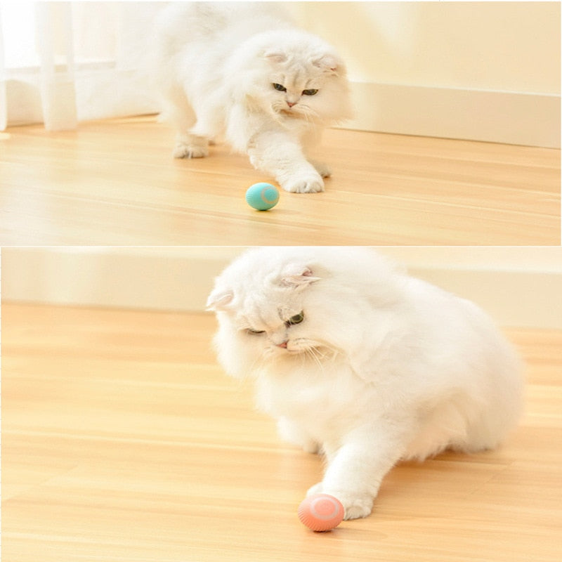Brinquedos Inteligentes para Gatos