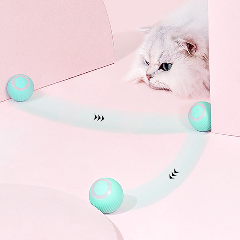 Brinquedos Inteligentes para Gatos