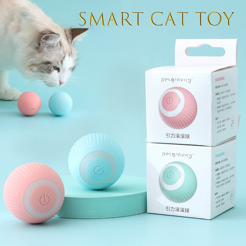 Brinquedos Inteligentes para Gatos